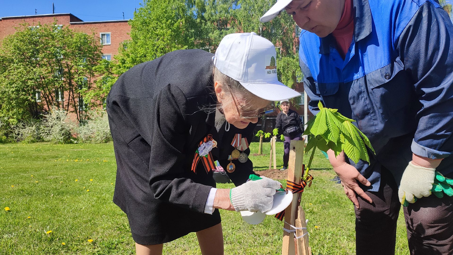 Кашира, ветераны, лес победы, каштан, спирея, экологическая акция