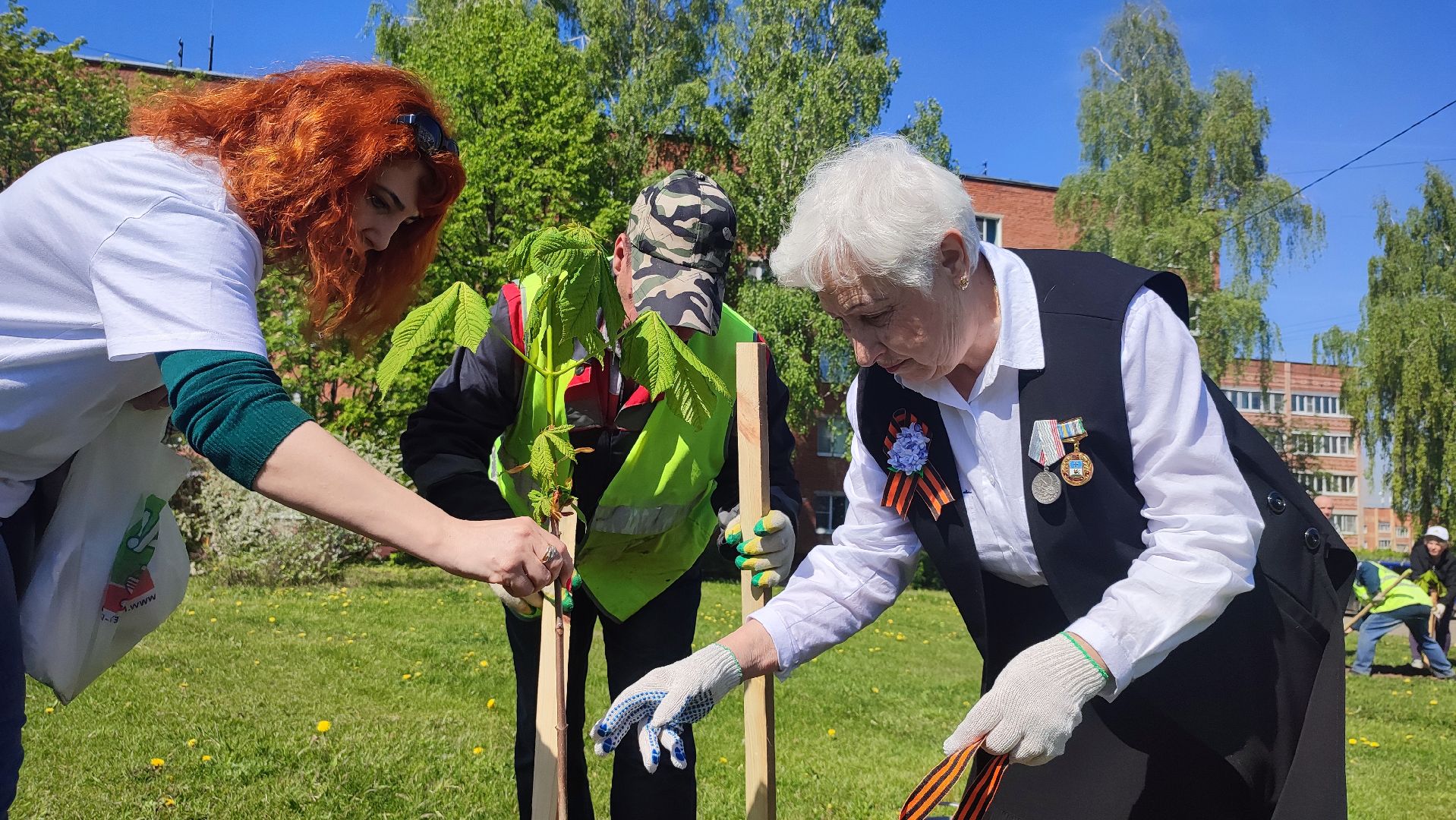 Кашира, ветераны, лес победы, каштан, спирея, экологическая акция