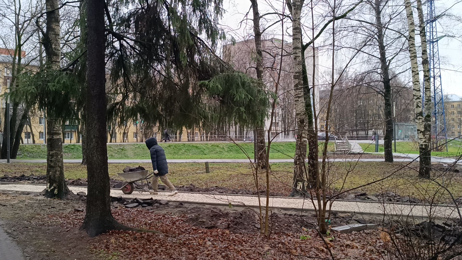 парк, благоустройство, лобня,