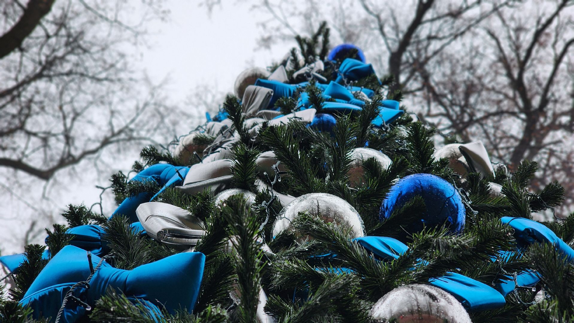 парки подмосковья, зимний сезон, зима в подмомсковье, лосино-петровский,