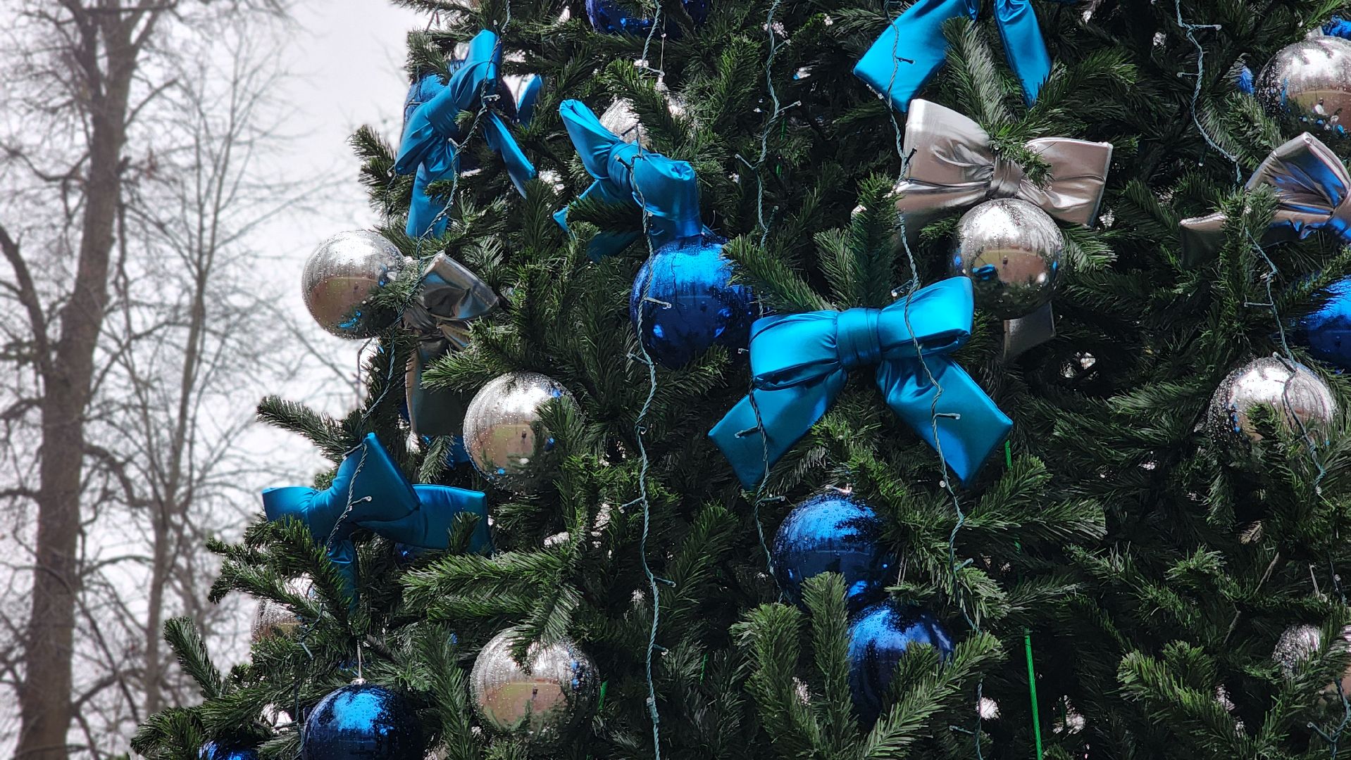 парки подмосковья, зимний сезон, зима в подмомсковье, лосино-петровский,