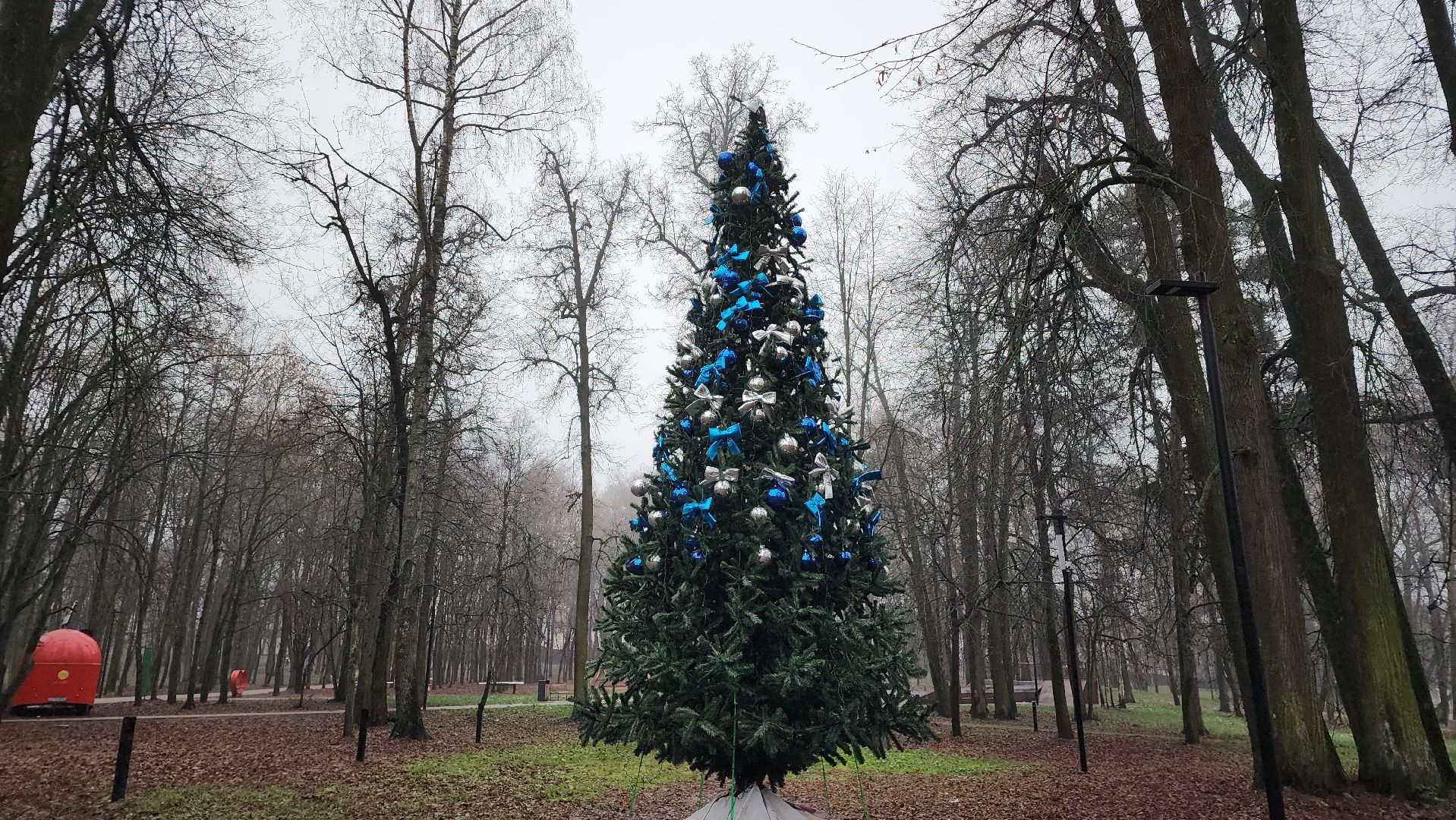 парки подмосковья, зимний сезон, зима в подмомсковье, лосино-петровский,