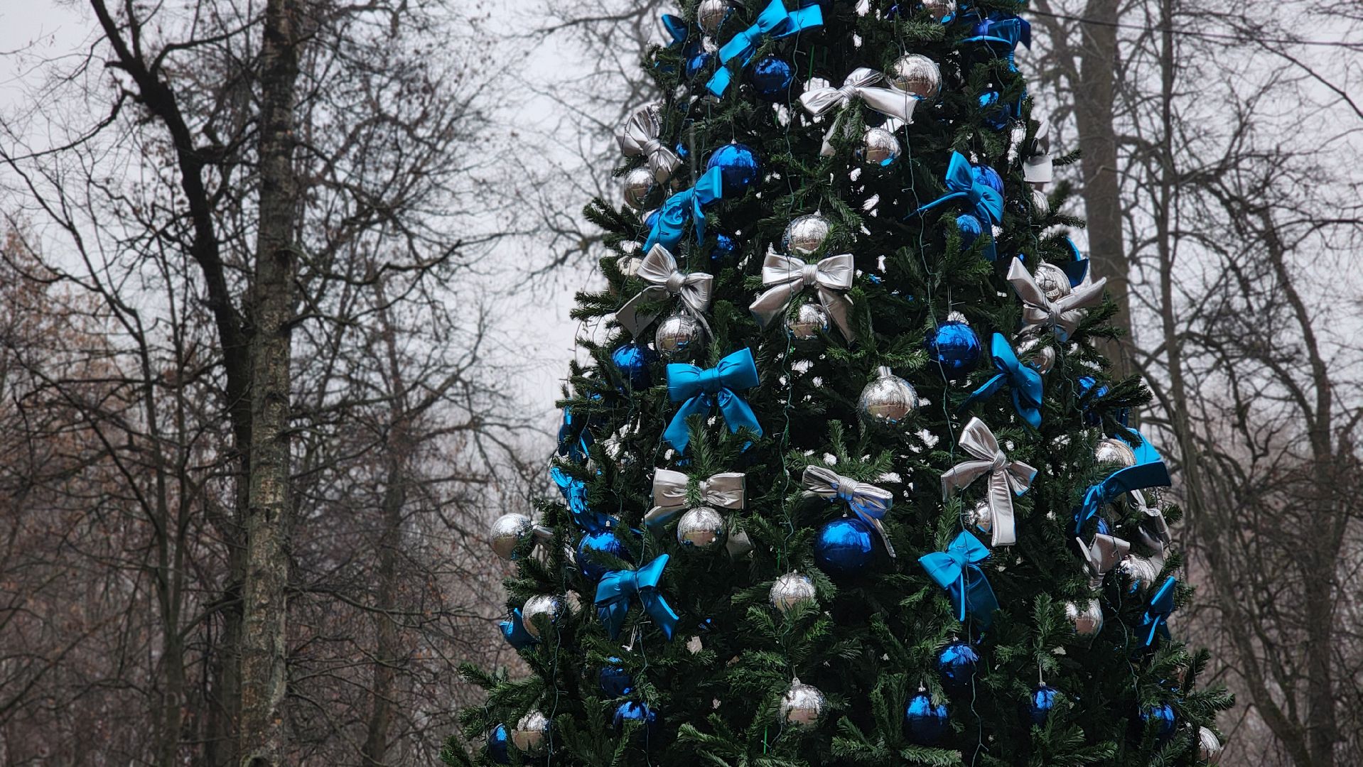 парки подмосковья, зимний сезон, зима в подмомсковье, лосино-петровский,