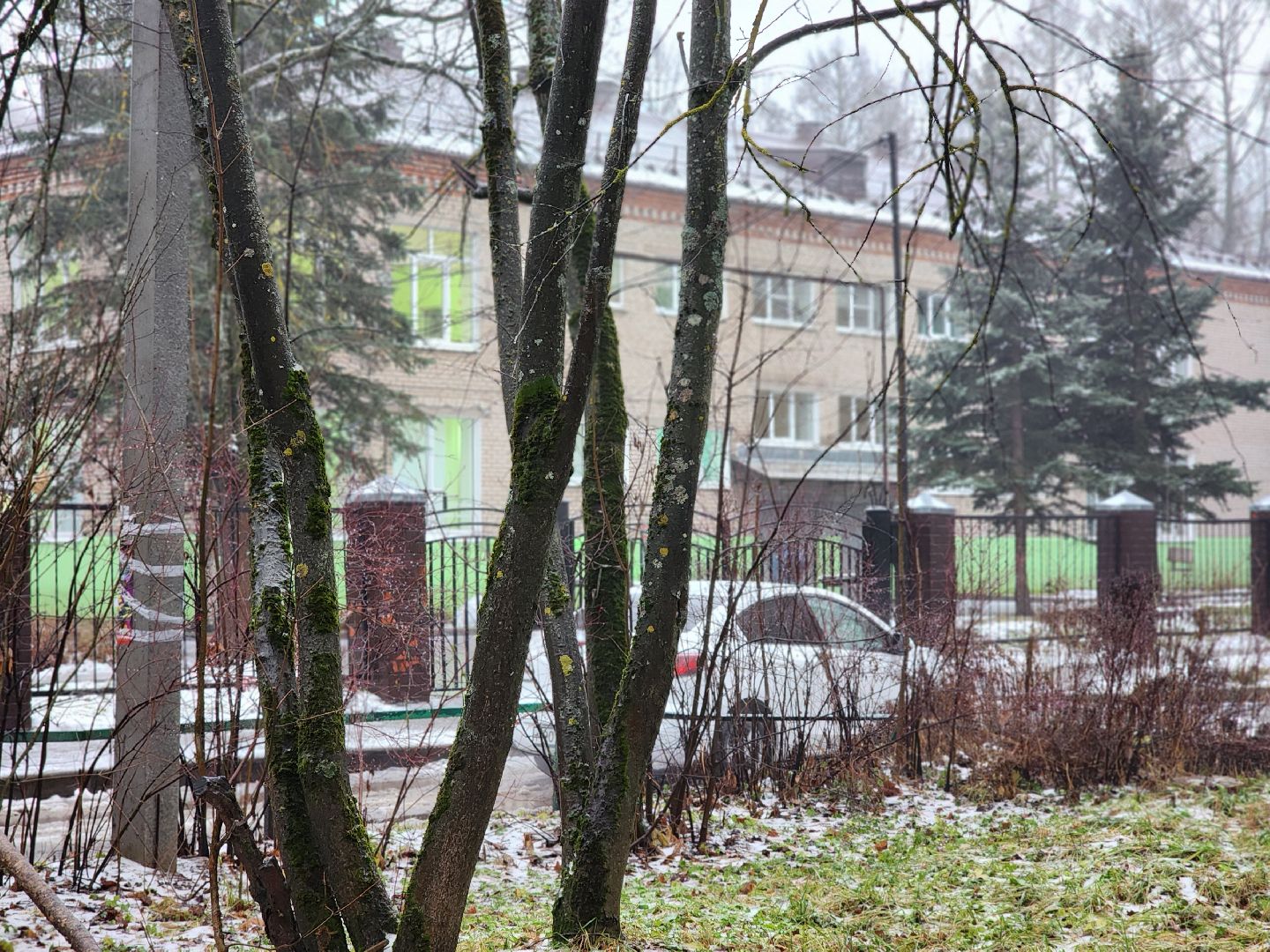 сергиев посад, сергиево-посадский городской округ, Всероссийский родительский комитет , Региональный родительский комитет , родители, школьники, образование в подмосковье,