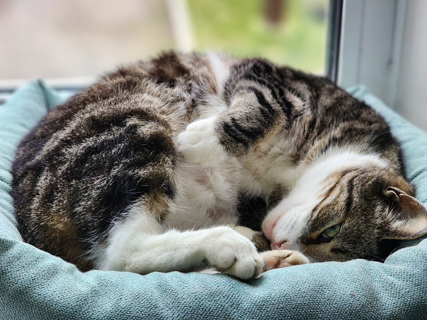 капитальный  ремонт, центр культуры, строительство, старая купавна, богородский городской округ,