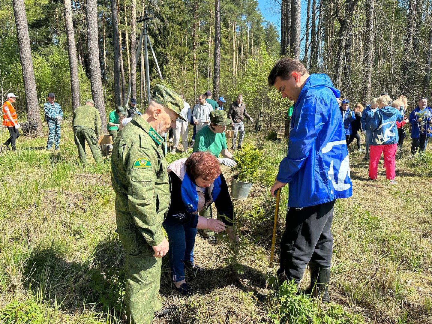 Можайск, Можайский городской округ, Подмосковье, Лес Победы, акция, День Победы