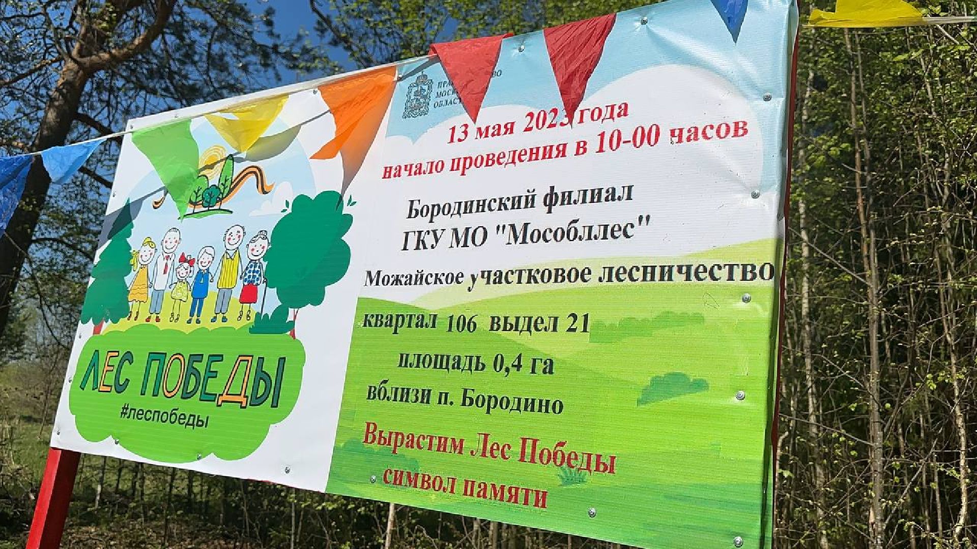 Можайск, Можайский городской округ, Подмосковье, Лес Победы, акция, День Победы