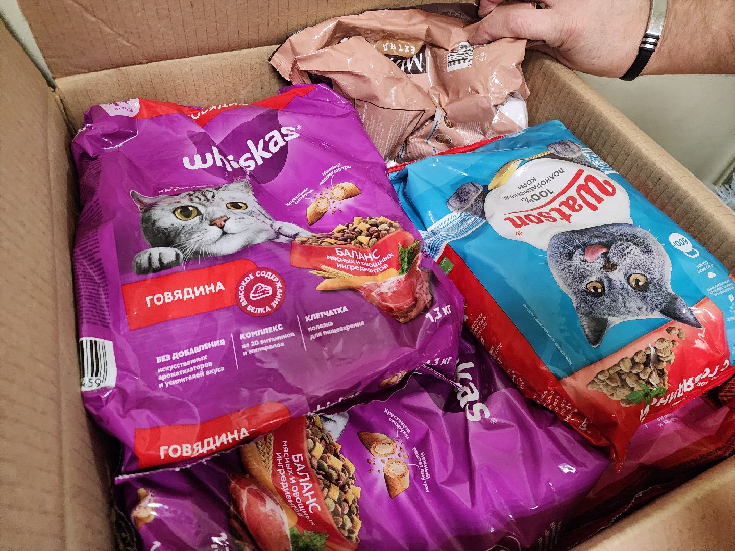 подольск, волонтер подмосковья, волонтерский центр, благотворительная акция,