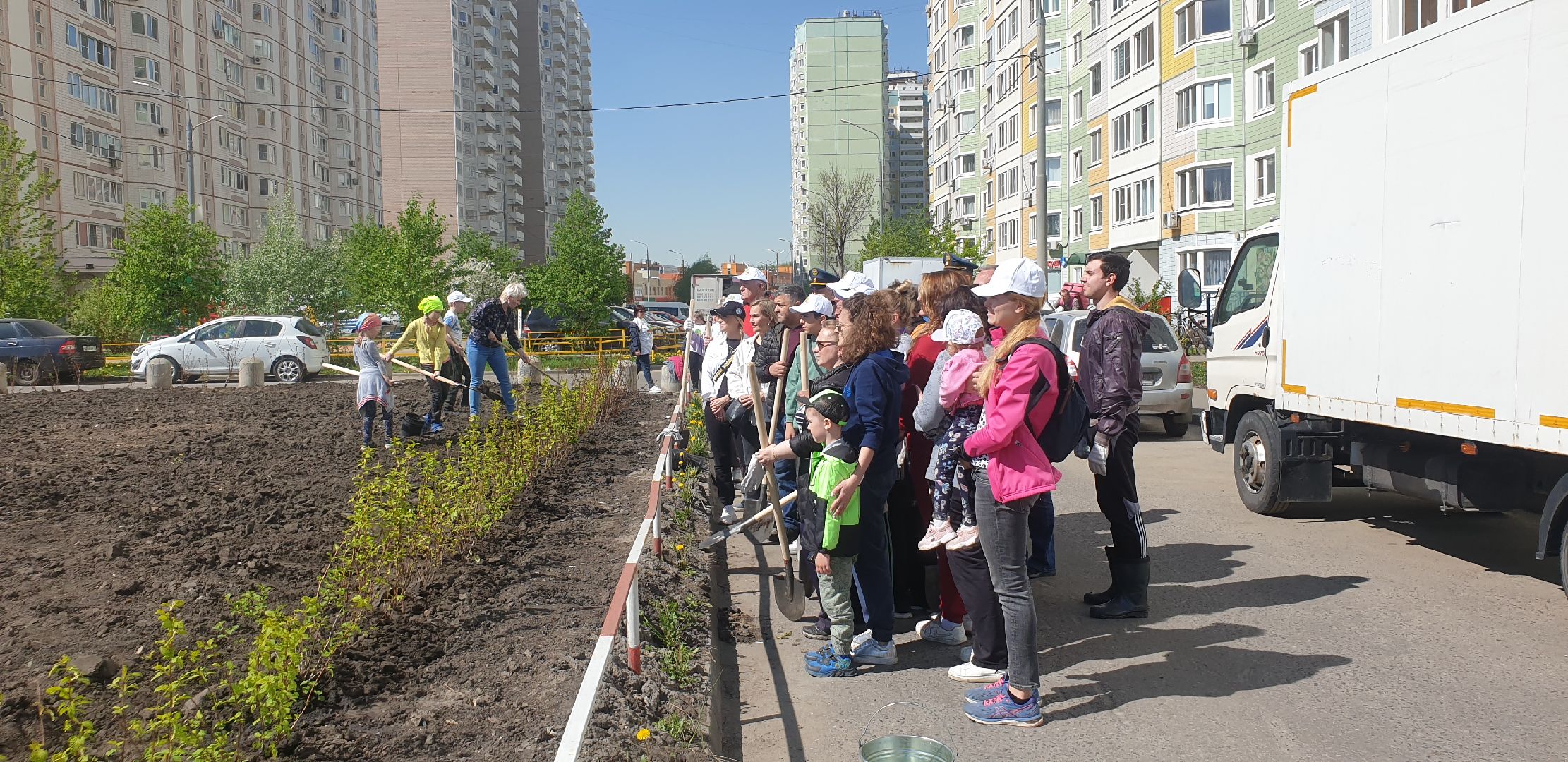 Долопрудный, Лес Победы, кустарники, саженцы