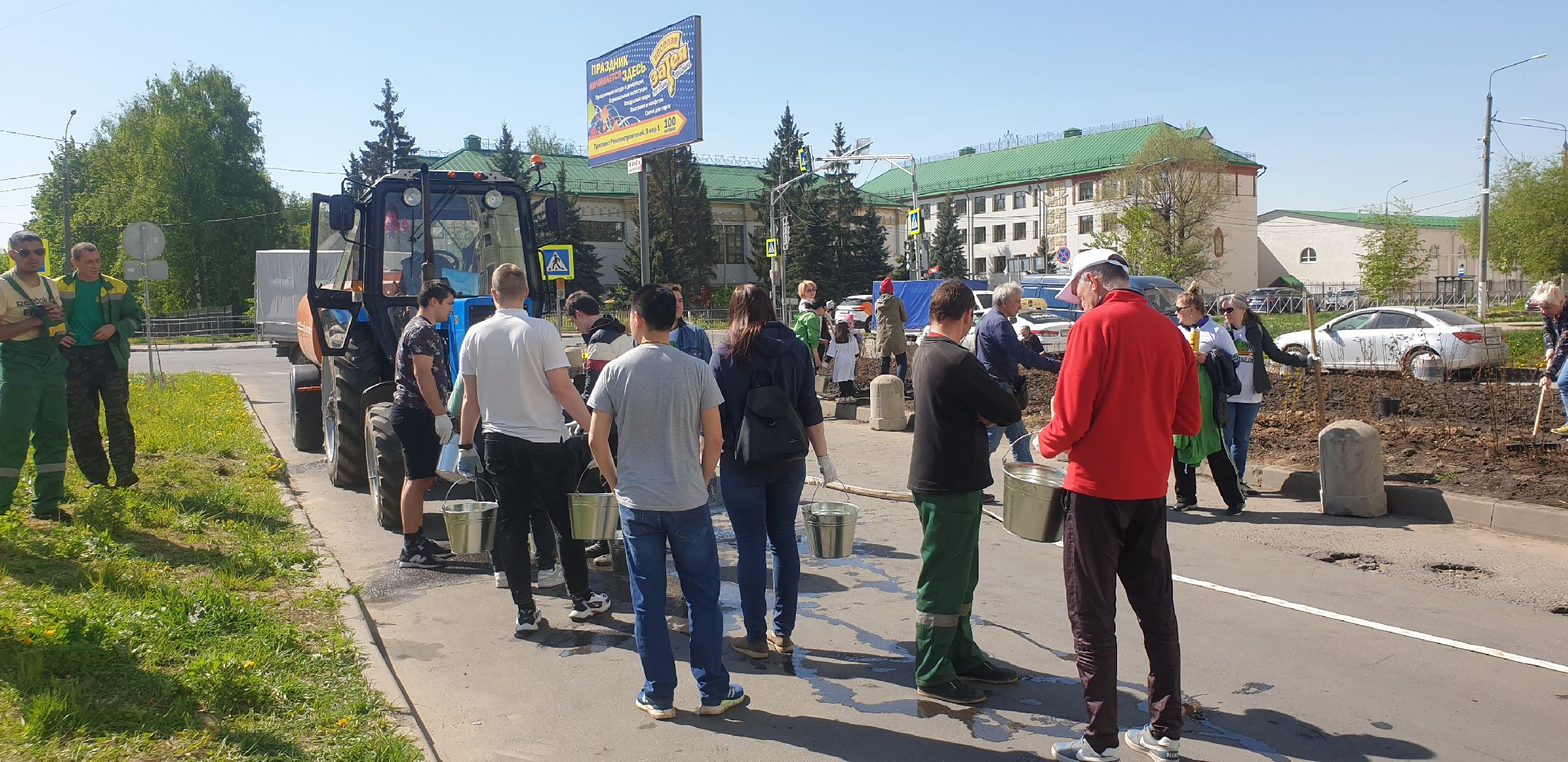 Долопрудный, Лес Победы, кустарники, саженцы