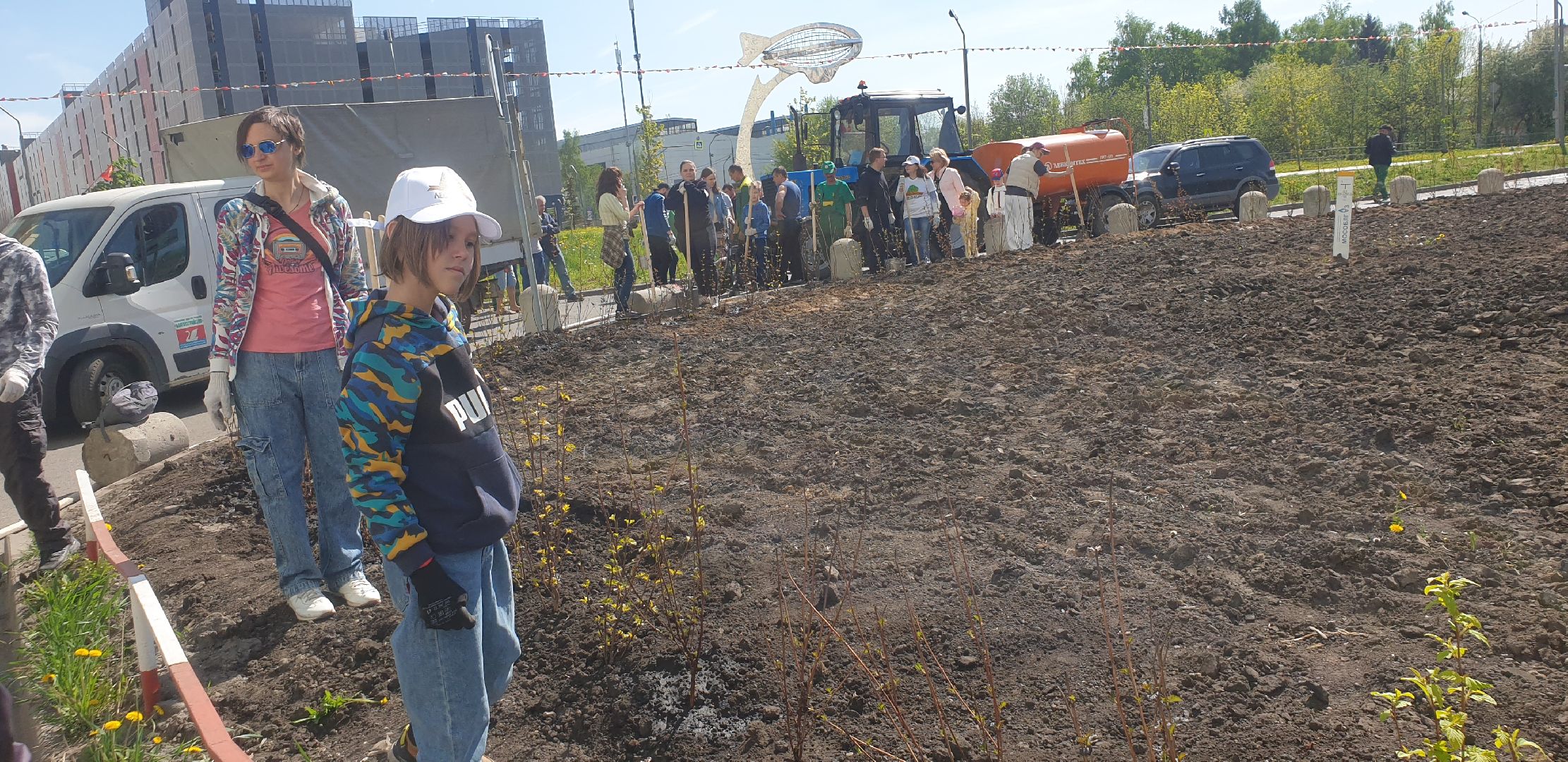 Долопрудный, Лес Победы, кустарники, саженцы