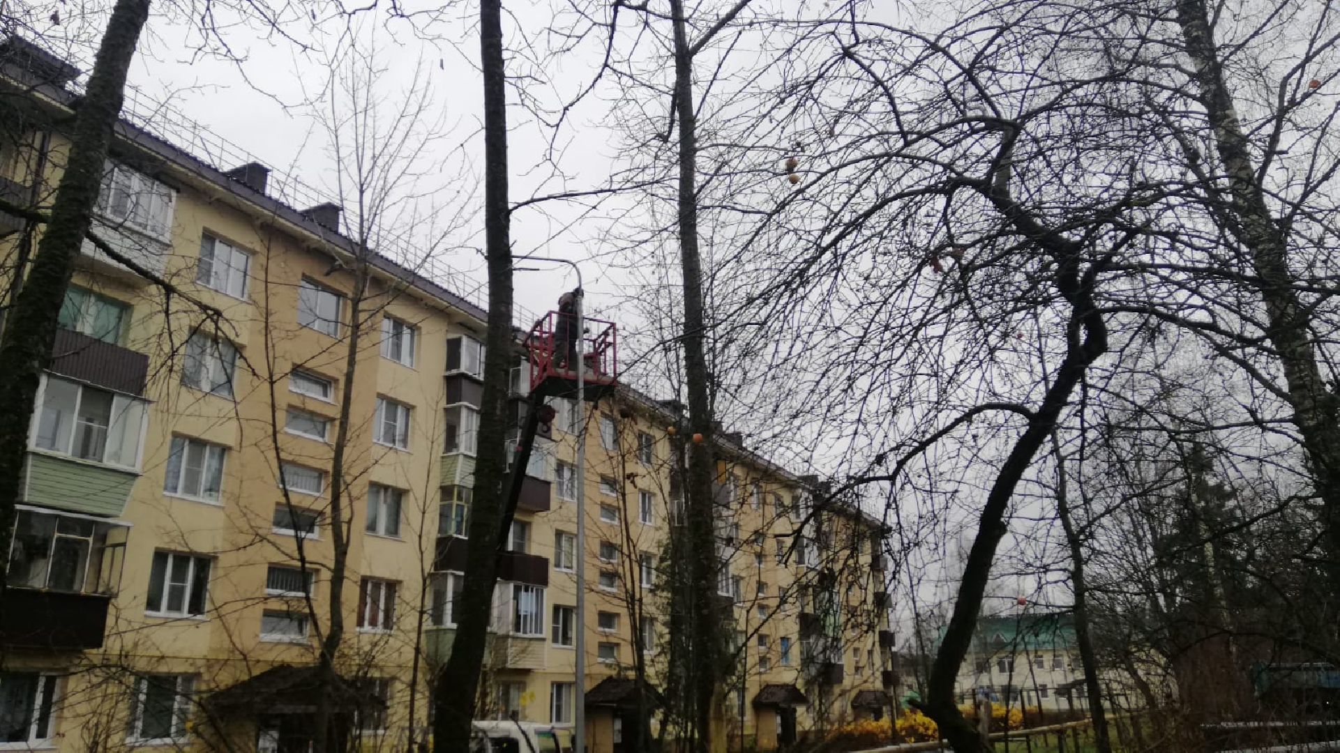 городской округ восход, благоустройство, фонари, уличное освещение,