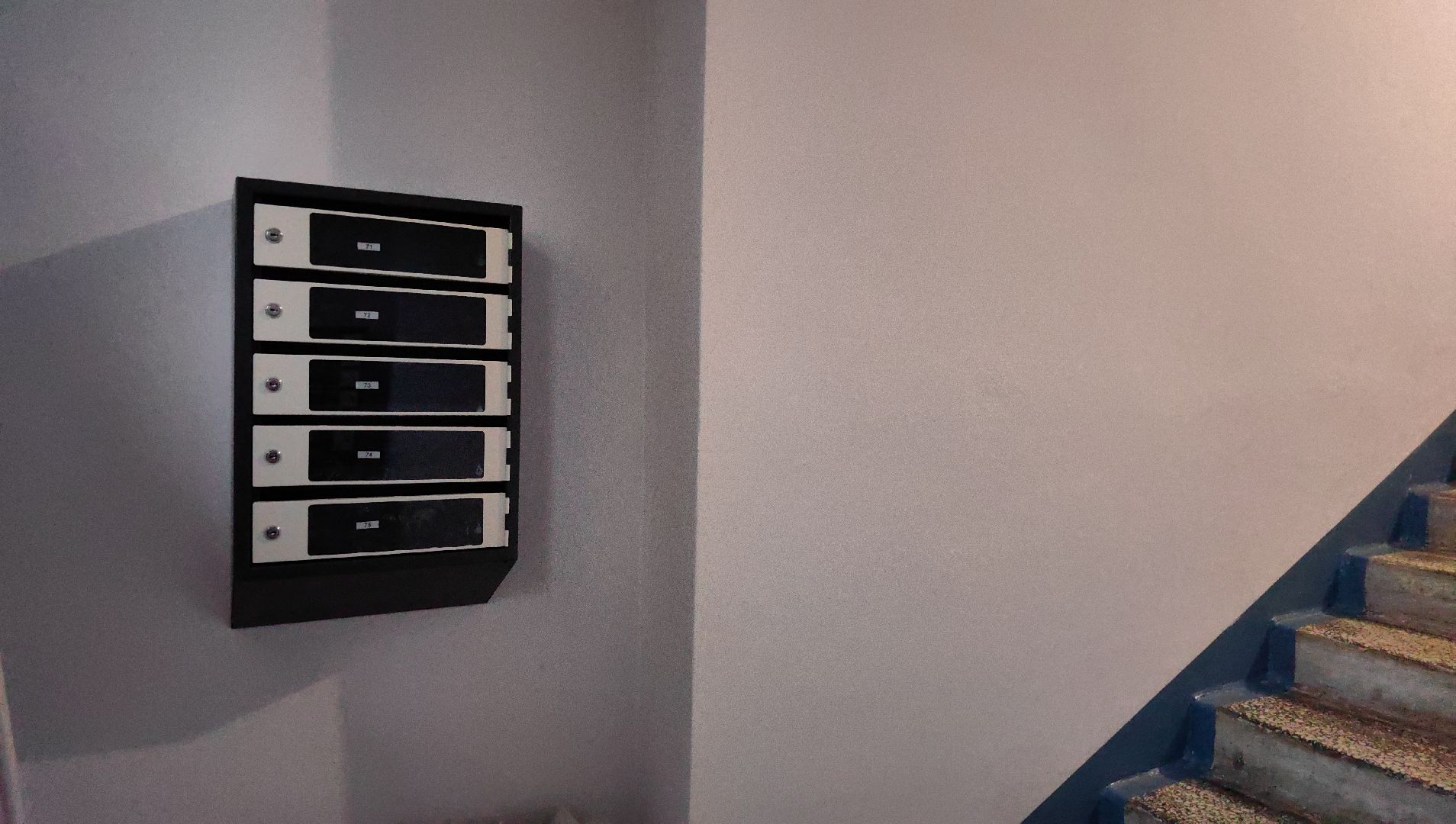 ремонт, подъезд, почтовый ящик, конкурс, двери, плитка,