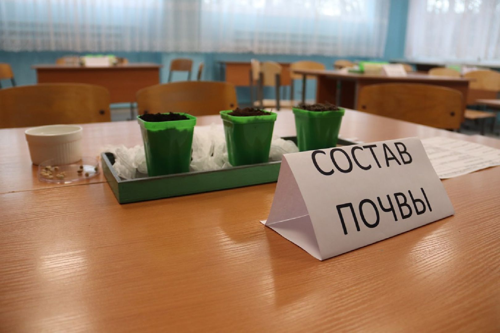 зарайск,  агроклассы, образование,