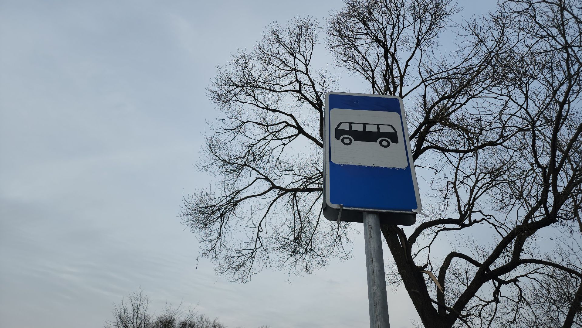 Егорьевск, Подмосковье, Московская область,