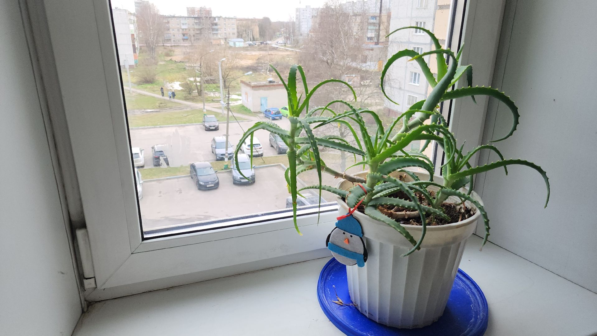 ремонт подьездов, лучший подъезд, орехово-зуевский округ, куровское,