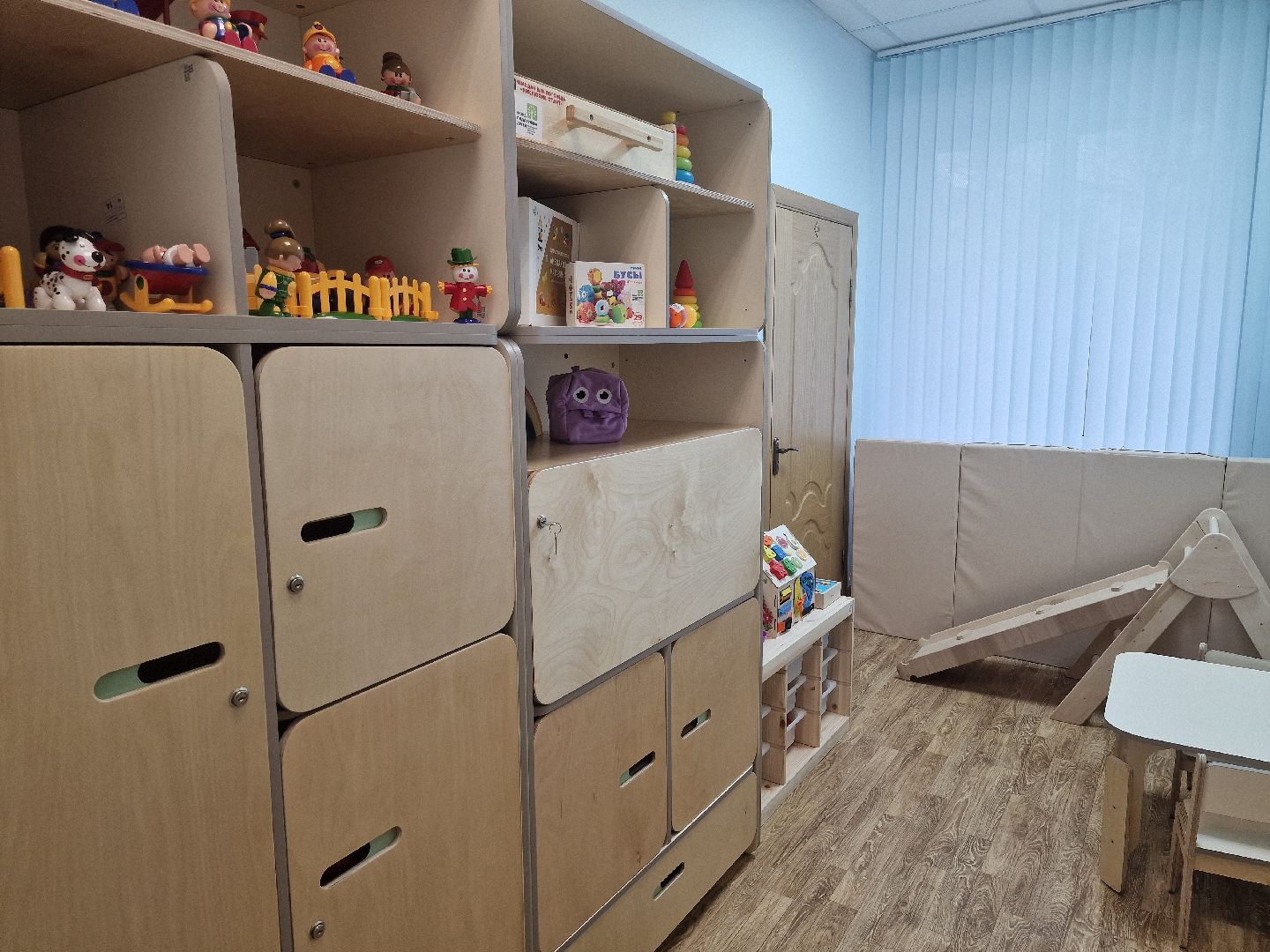 воскресенск, дети с овз,