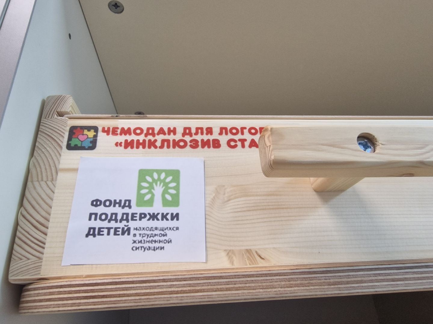 воскресенск, дети с овз,