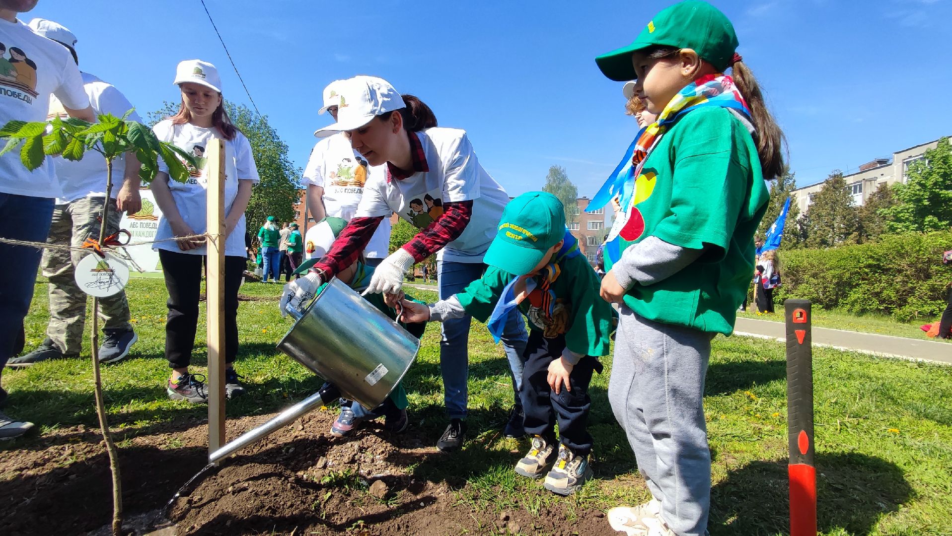 Кашира, лес победы, экологическая акция, экологический центр, спирея