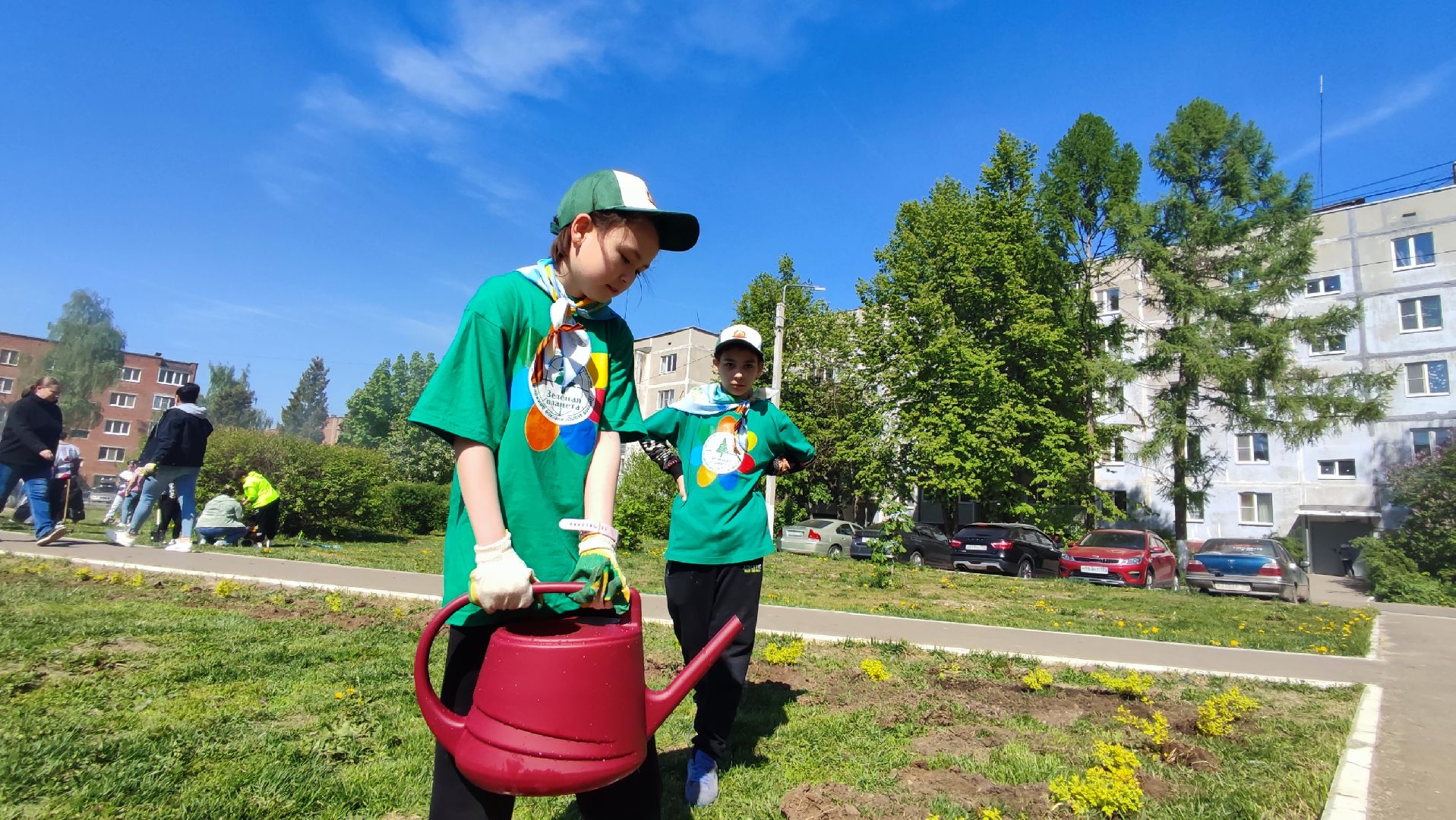 Кашира, лес победы, экологическая акция, экологический центр, спирея