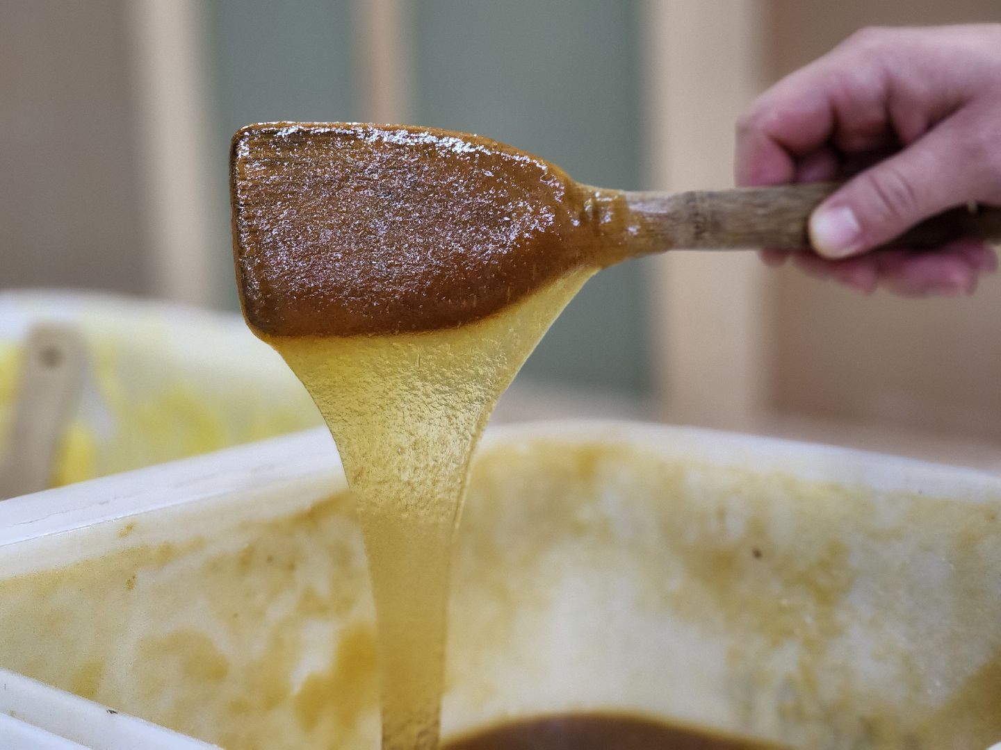 ярмарка, пасека, мёд, старая купавна, богородский городской округ,