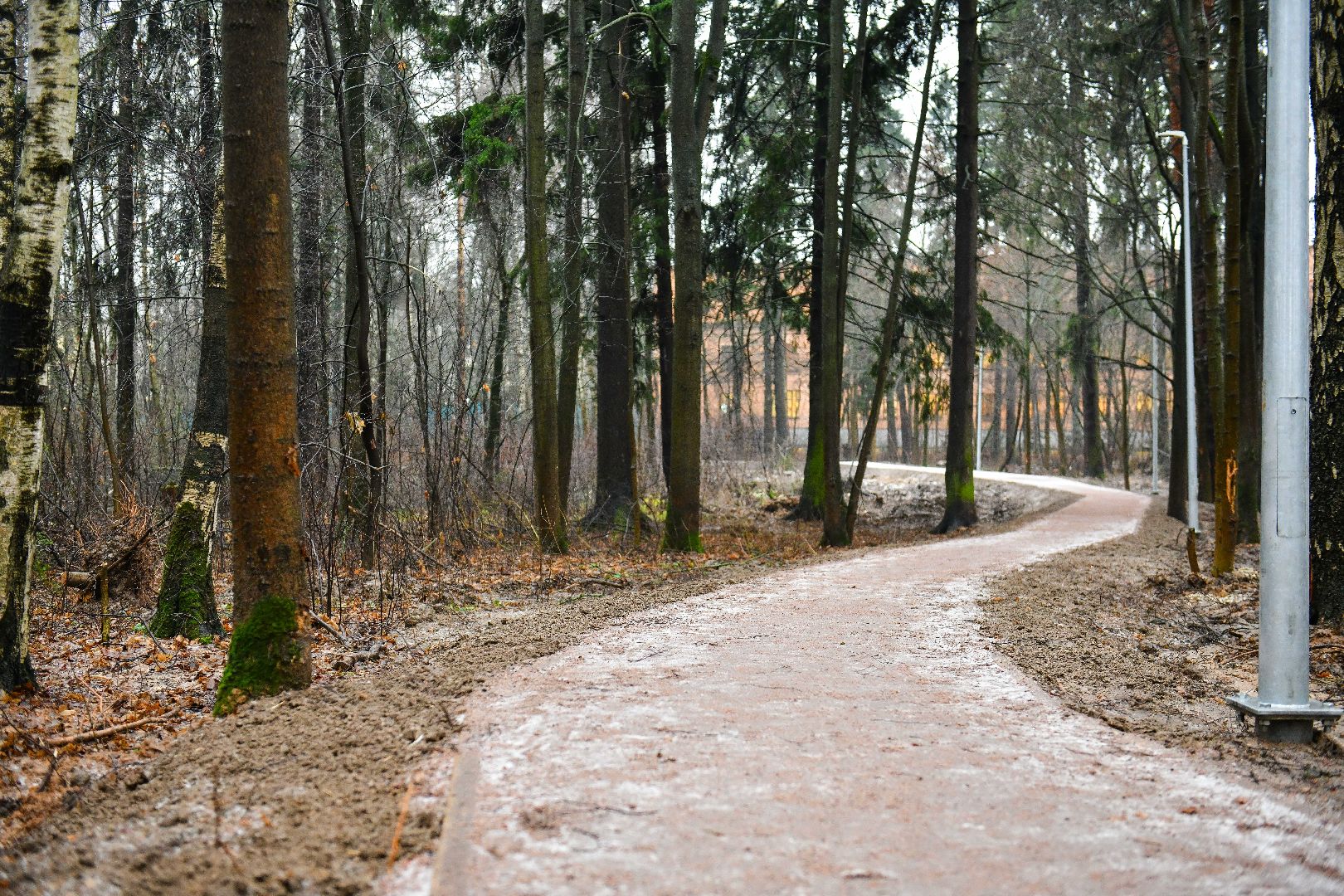 тропа, благоустройство, школа,