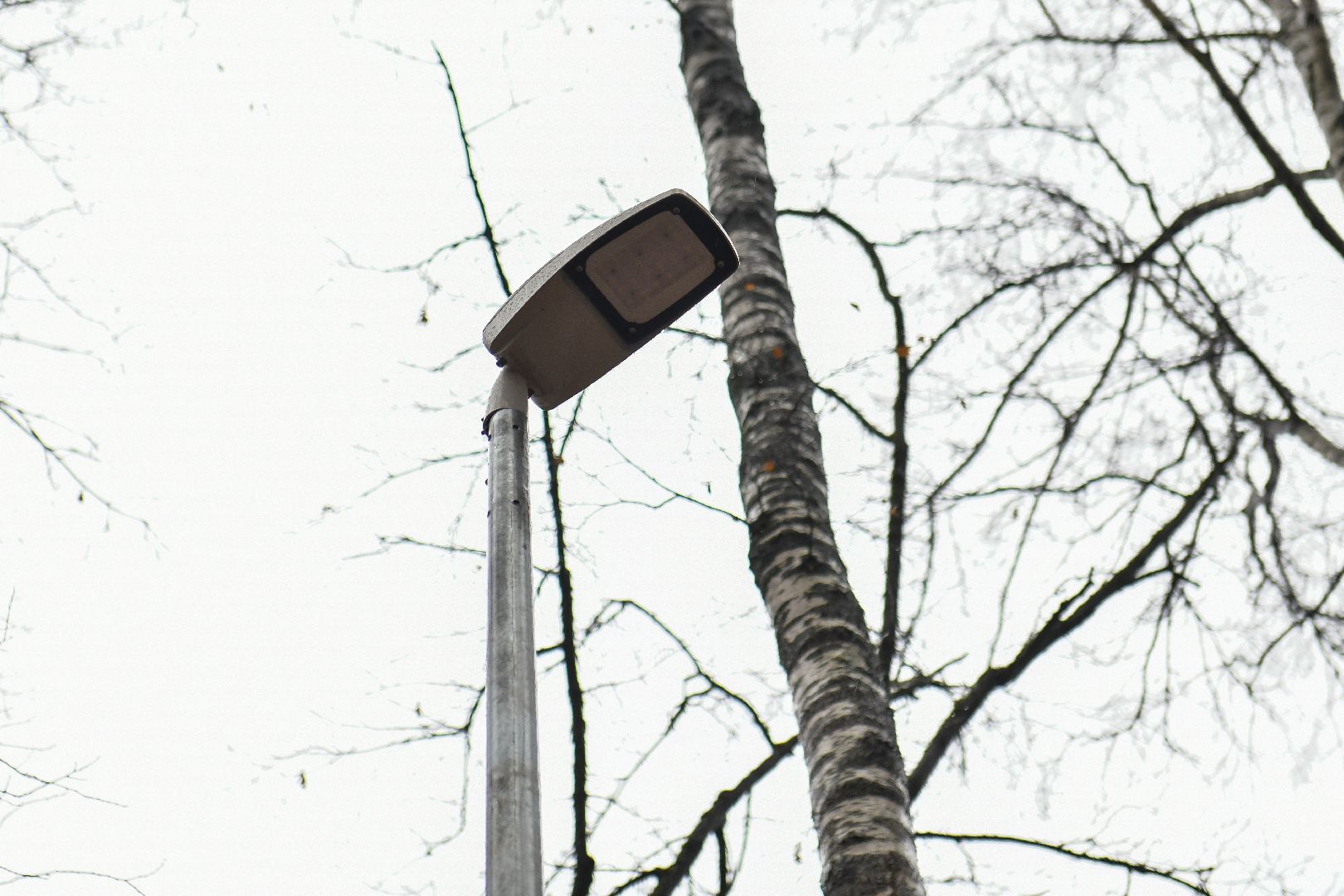 тропа, благоустройство, школа,