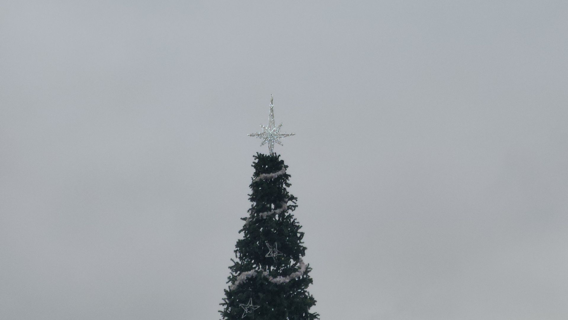 Павловский Посад , Благоустройство ,  Елка,