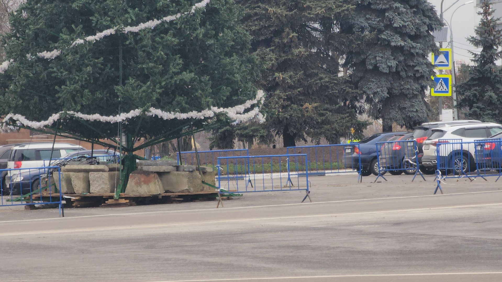 Павловский Посад , Благоустройство ,  Елка,