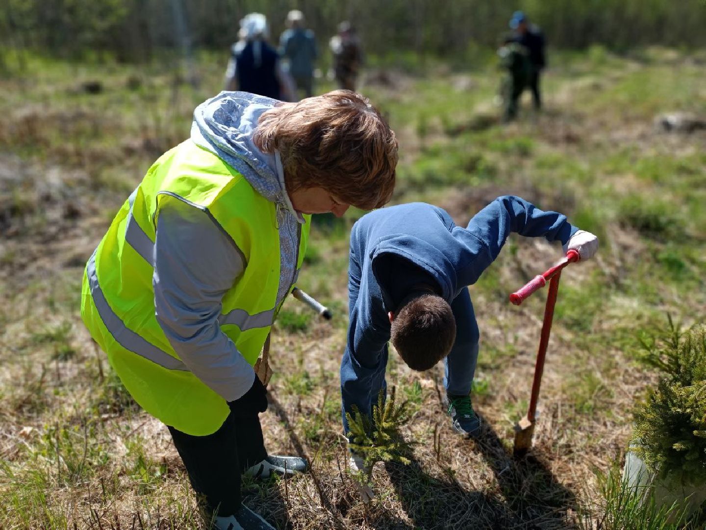 Можайск, Можайский городской округ, Подмосковье, Лес Победы, акция, День Победы