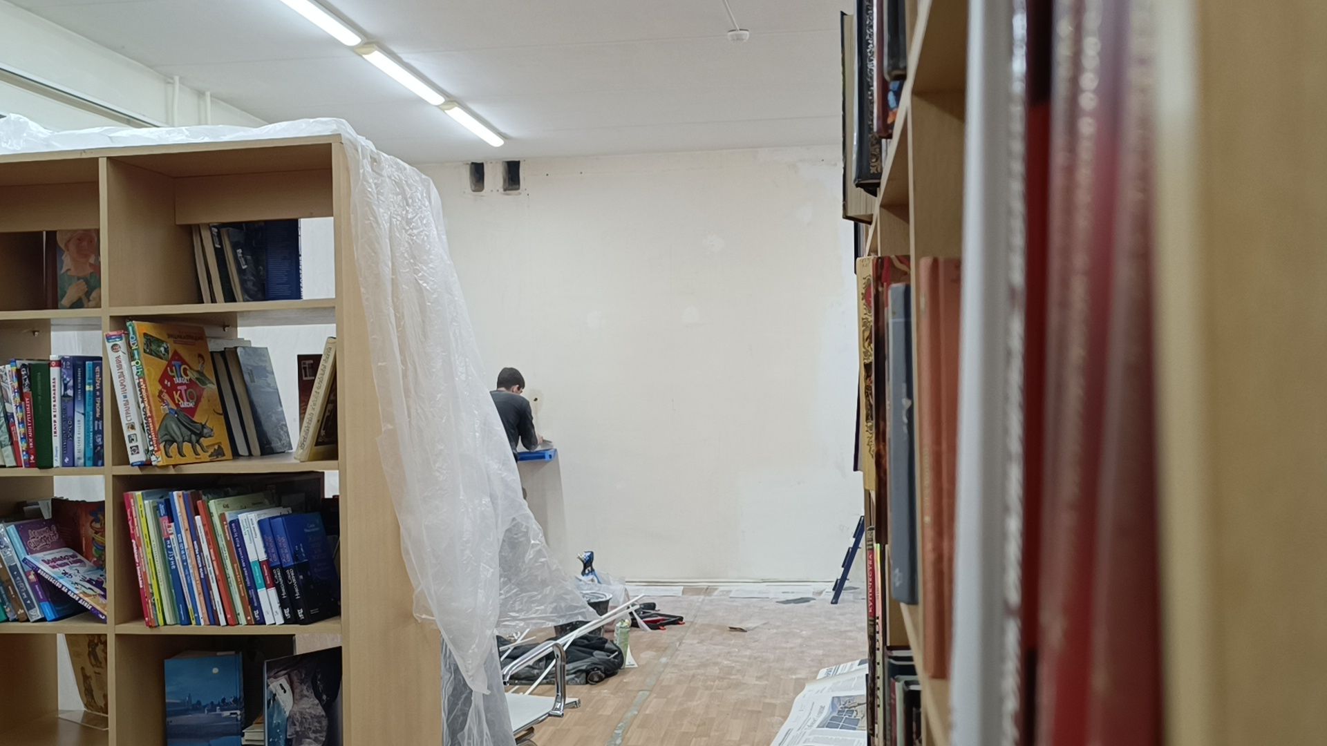 библиотека, лобня, ремонт,