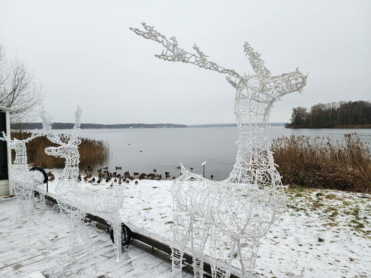 солнечногорск, праздник , зима, новый год,