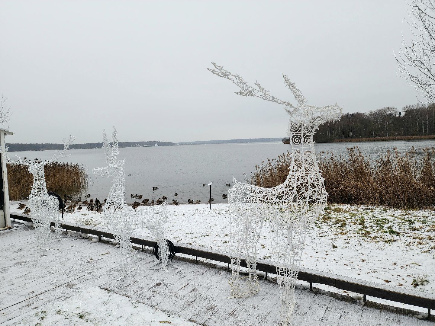 солнечногорск, праздник , зима, новый год,