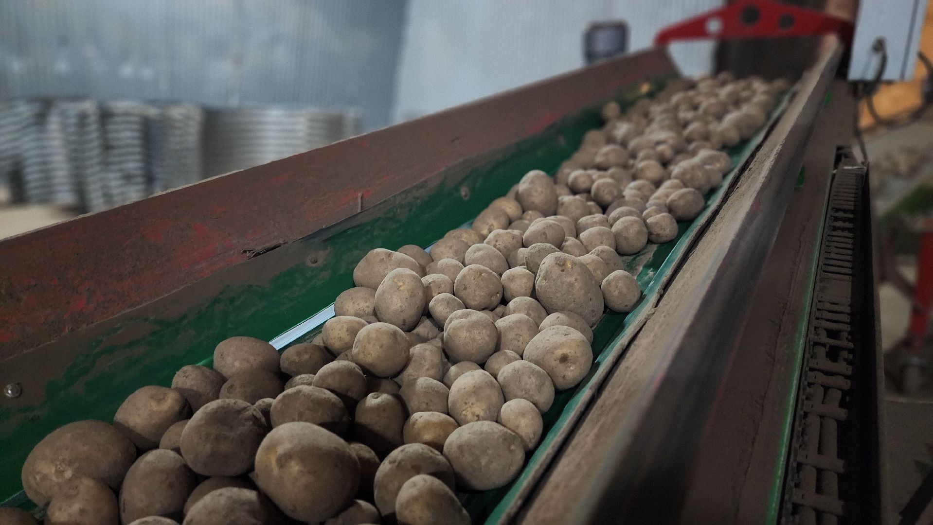 клин, раздолье, картофель, экономика,