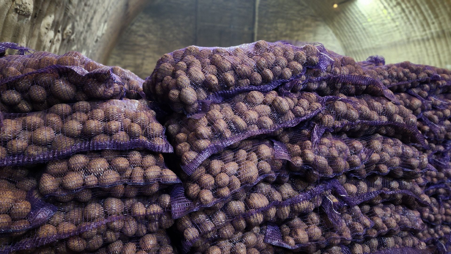 клин, раздолье, картофель, экономика,