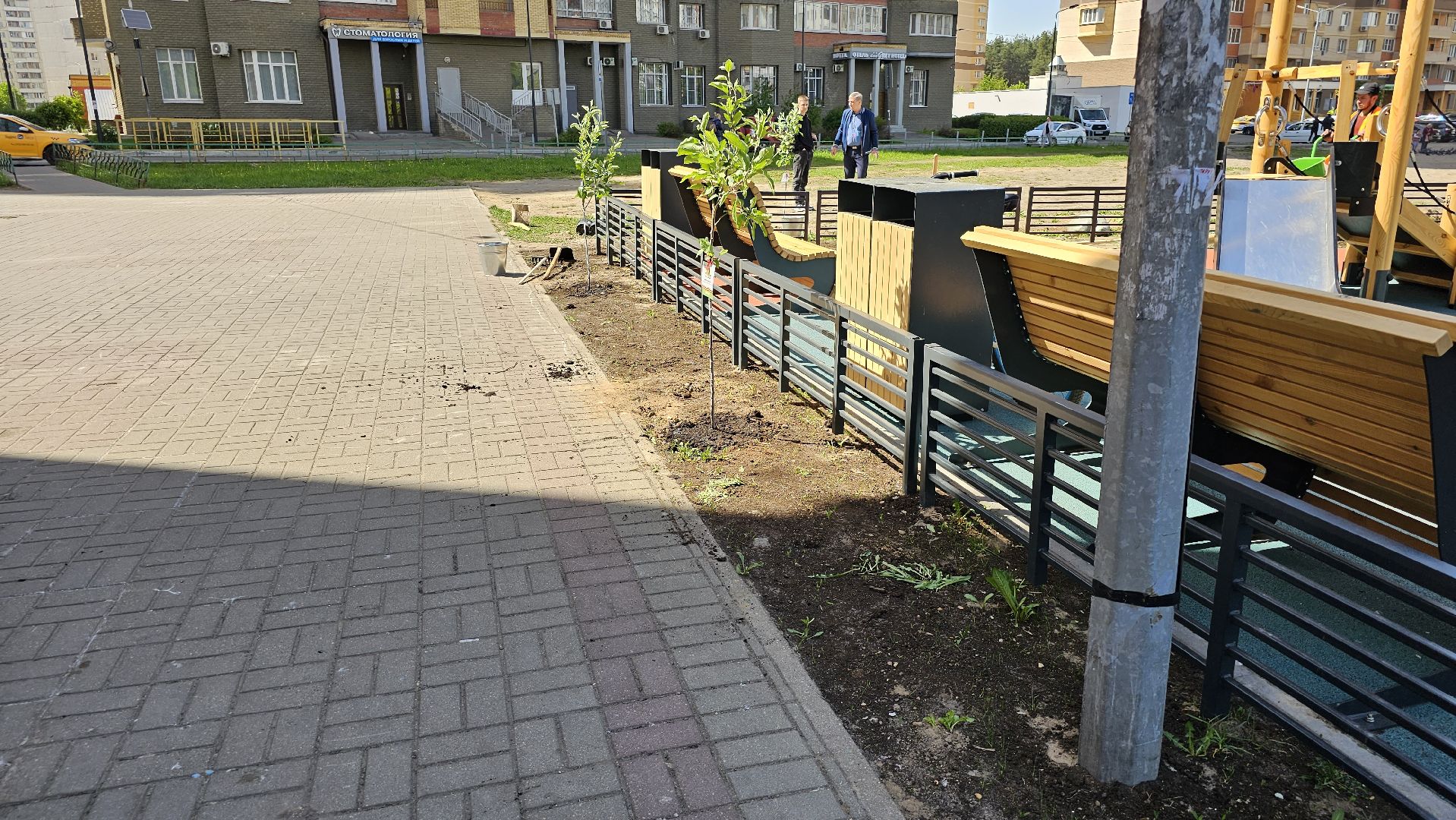 Лес Победы, экология, саженцы, Котельники