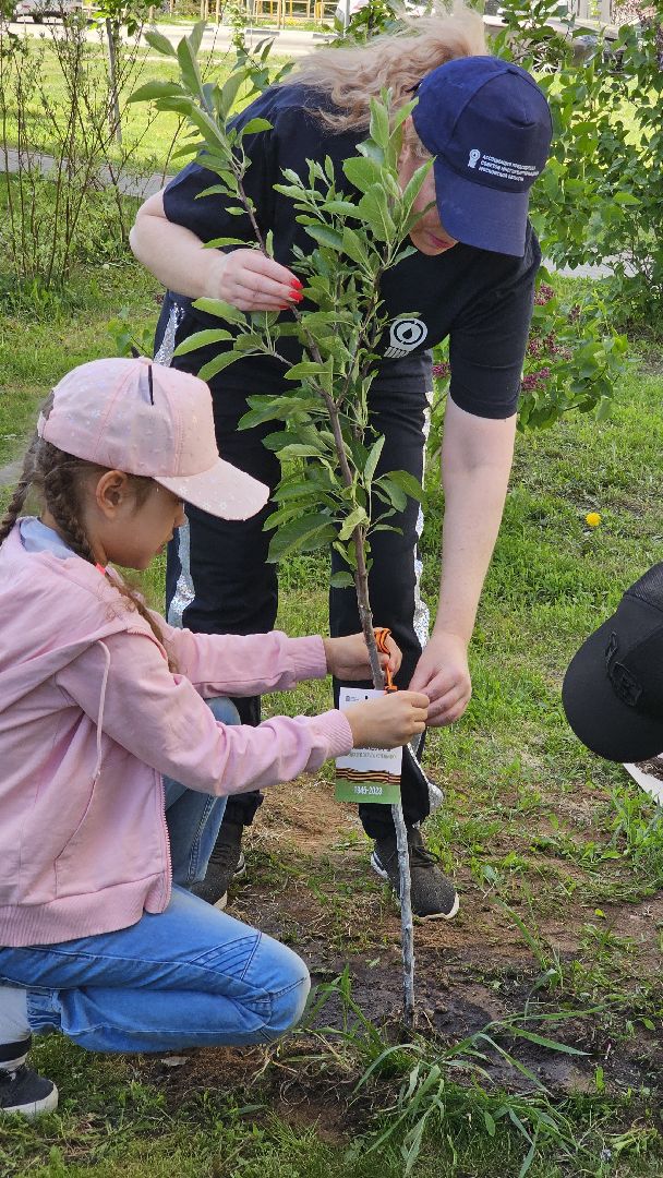 Лес Победы, экология, саженцы, Котельники