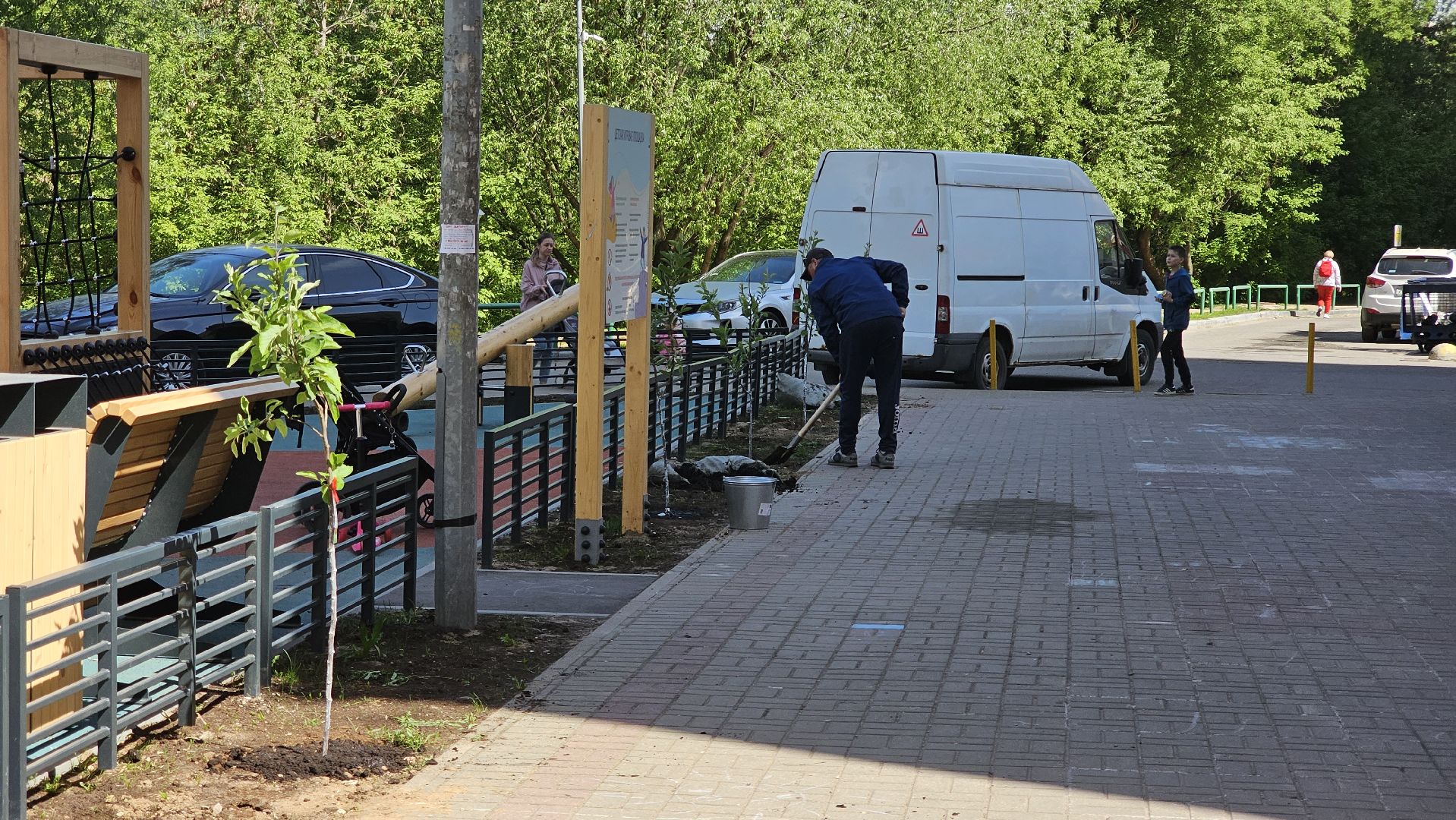 Лес Победы, экология, саженцы, Котельники