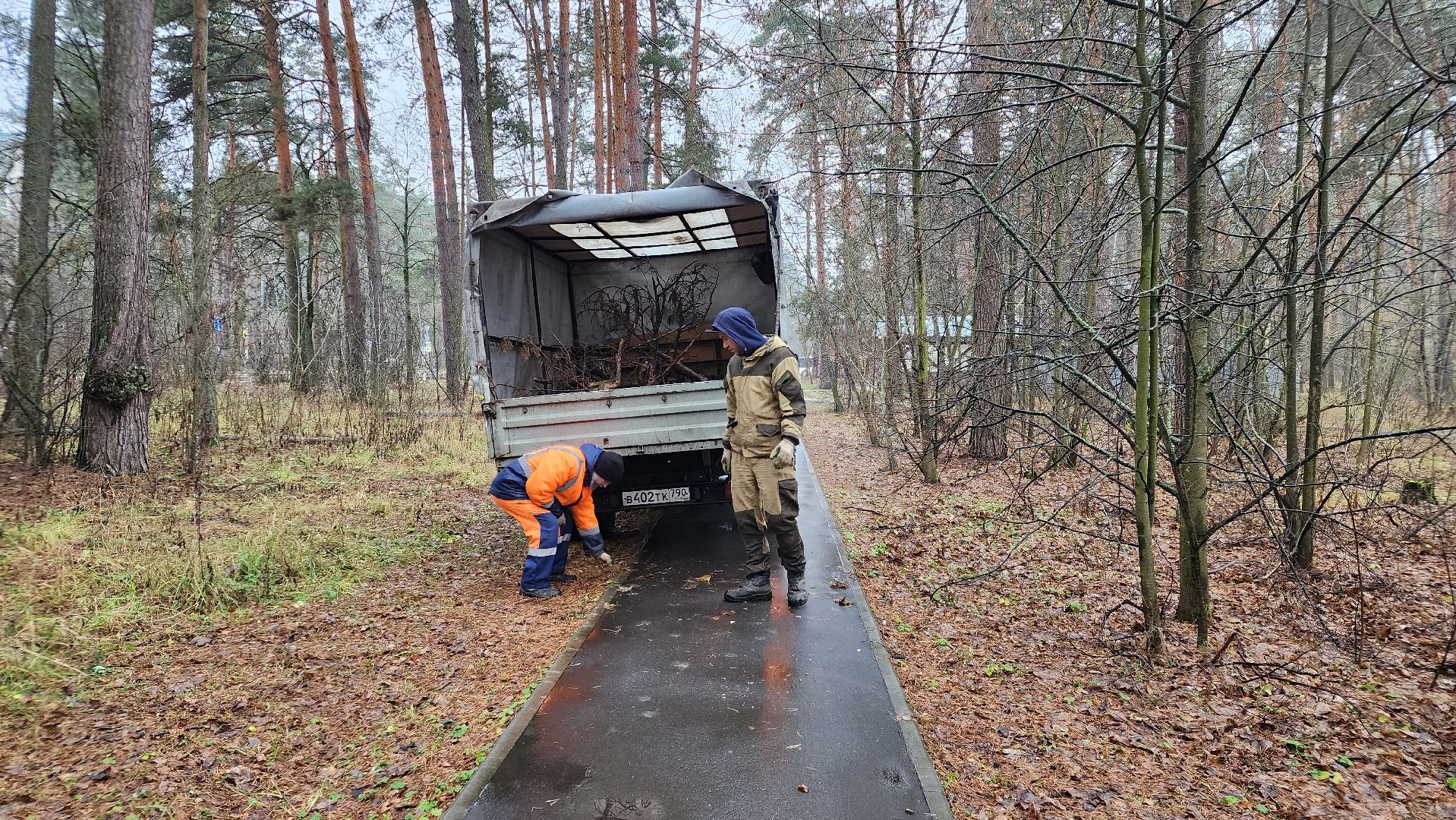 протвино, комбинат благоустройства, городской лес,