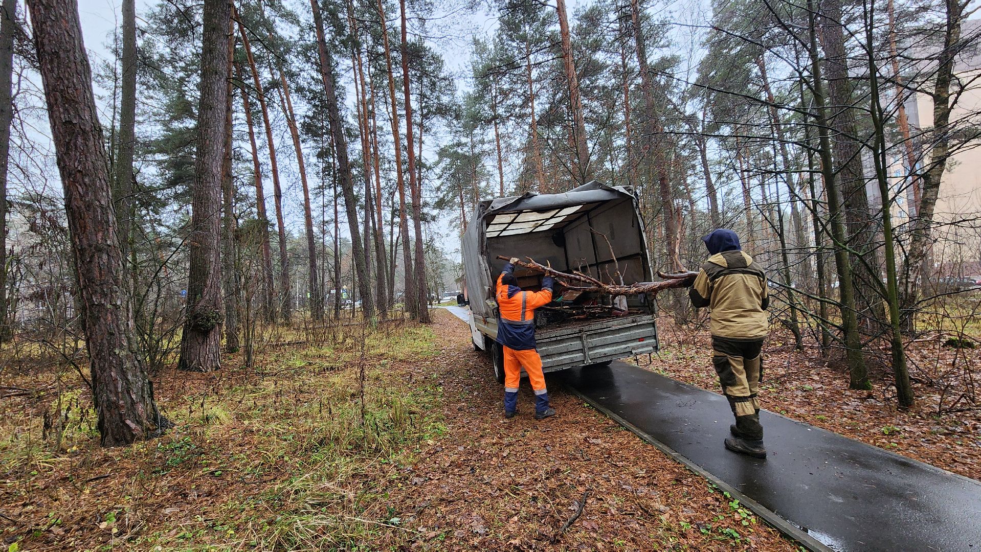 протвино, комбинат благоустройства, городской лес,