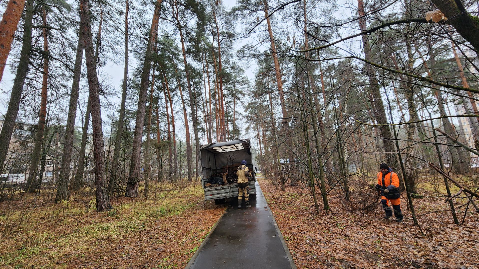 протвино, комбинат благоустройства, городской лес,