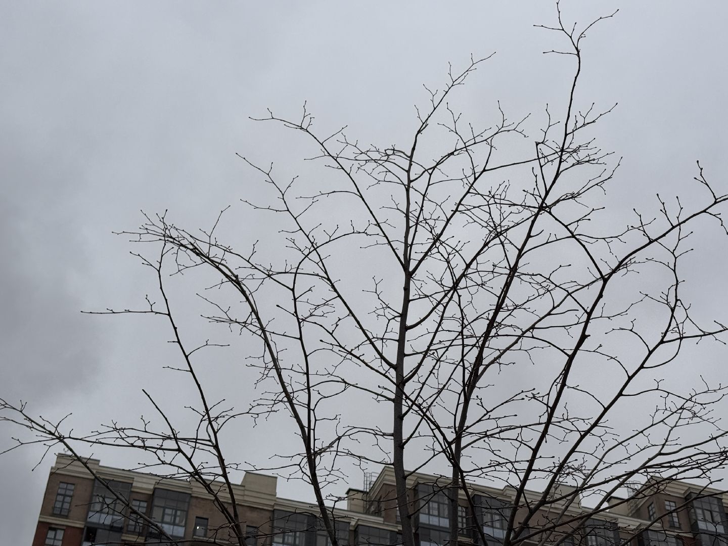 Новый детский сад в Одинцово, ЖК Союзный, Социнфраструктура, Образование,