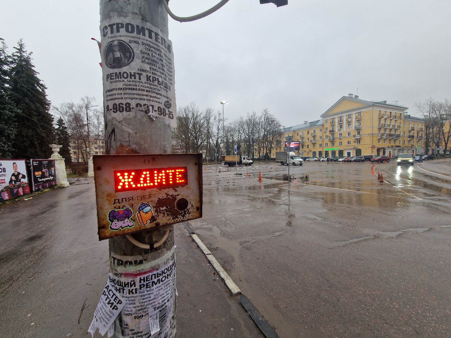 воскресенск,  зима в подмосковье, новогодние ели,