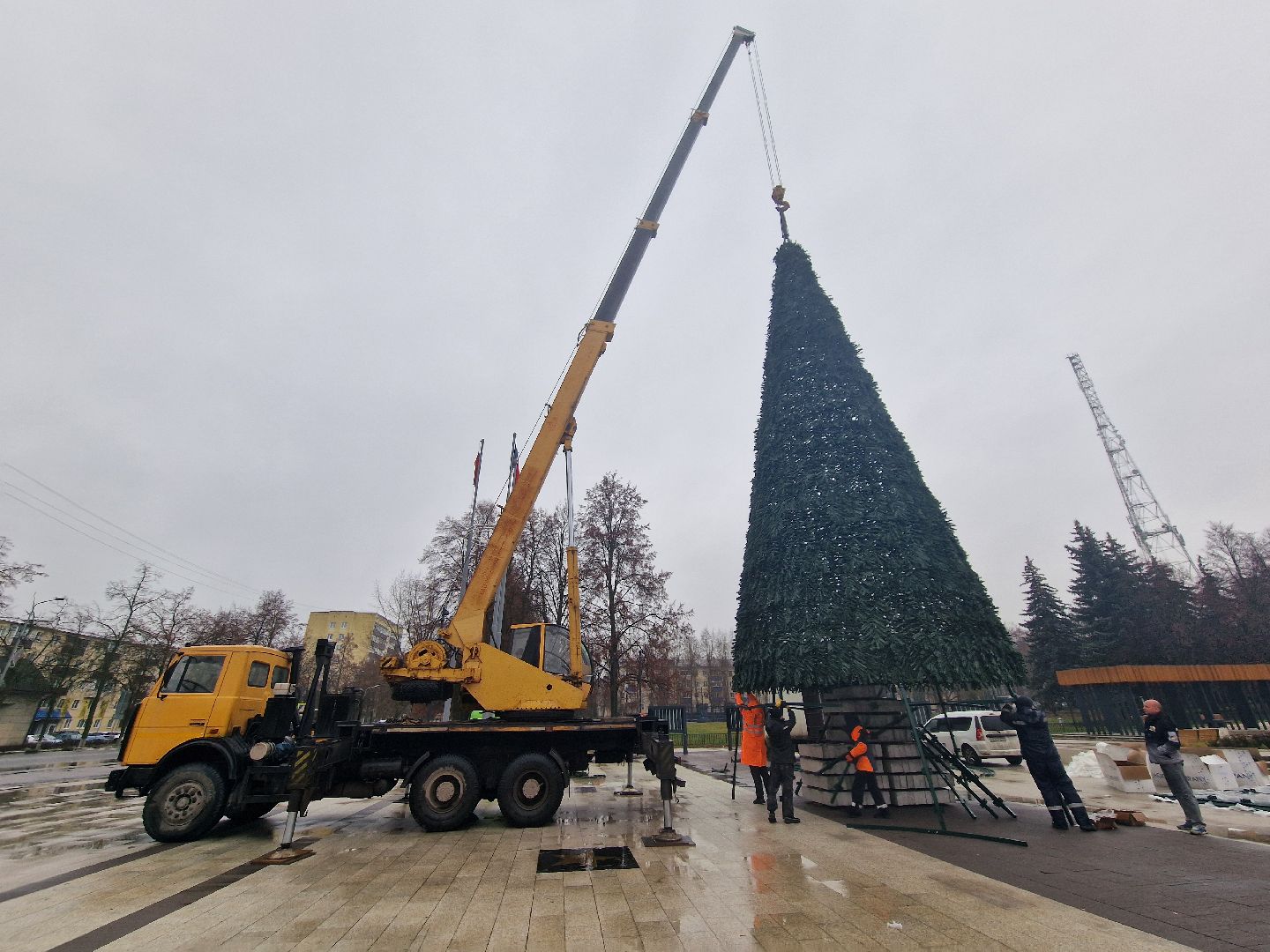 воскресенск,  зима в подмосковье, новогодние ели,