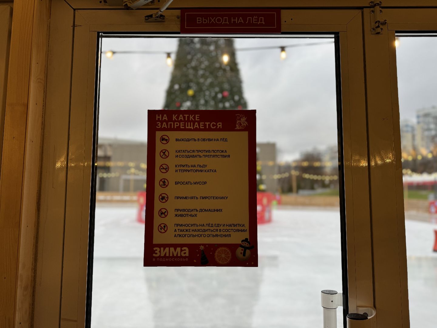 каток, ленинский городской округ, искусственный лед, зима в подмосковье,