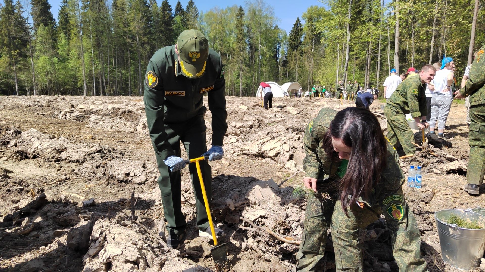 Пушкино, Лес Победы, Ельдигино, Помним