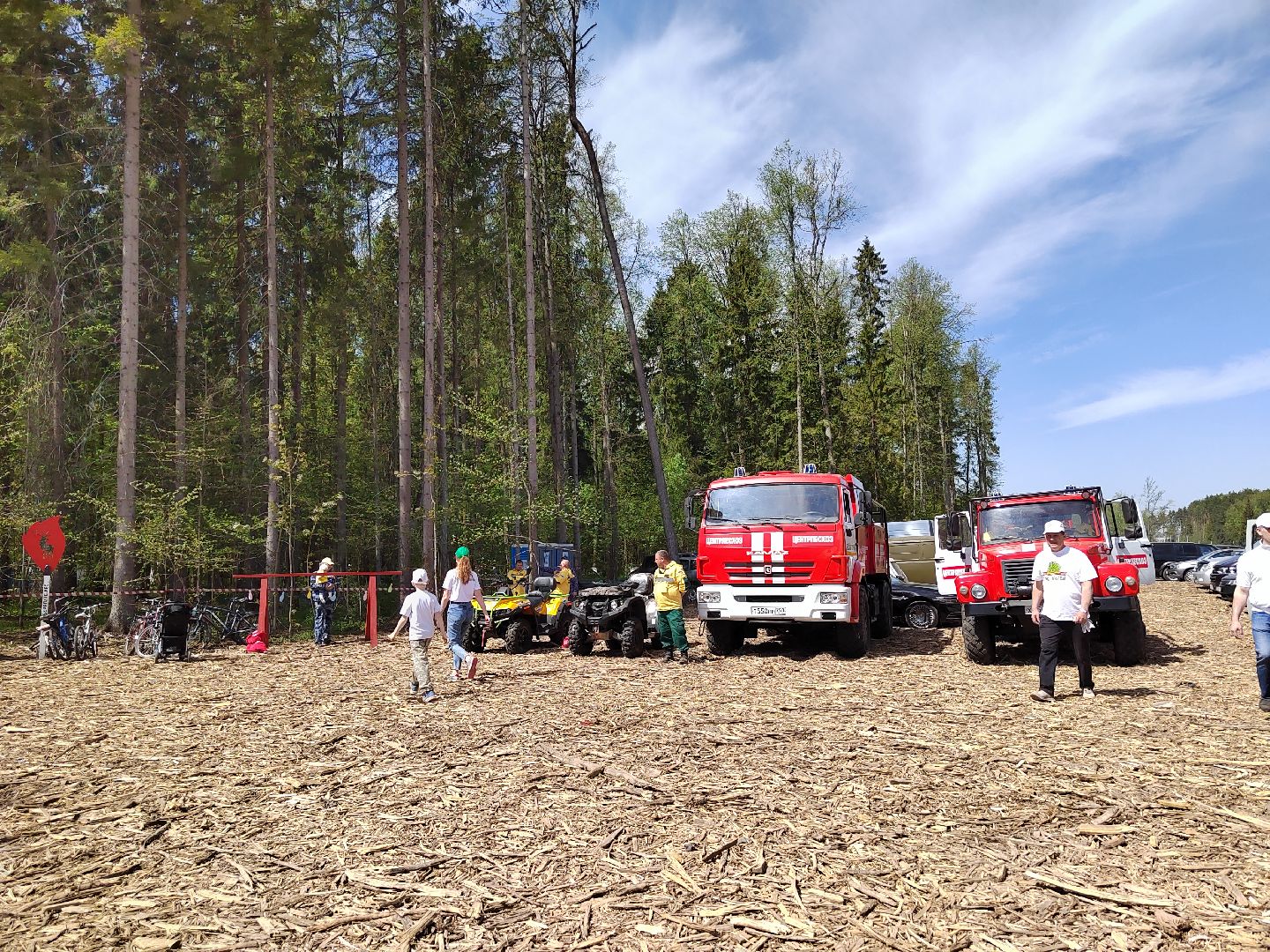 Пушкино, Лес Победы, Ельдигино, Помним