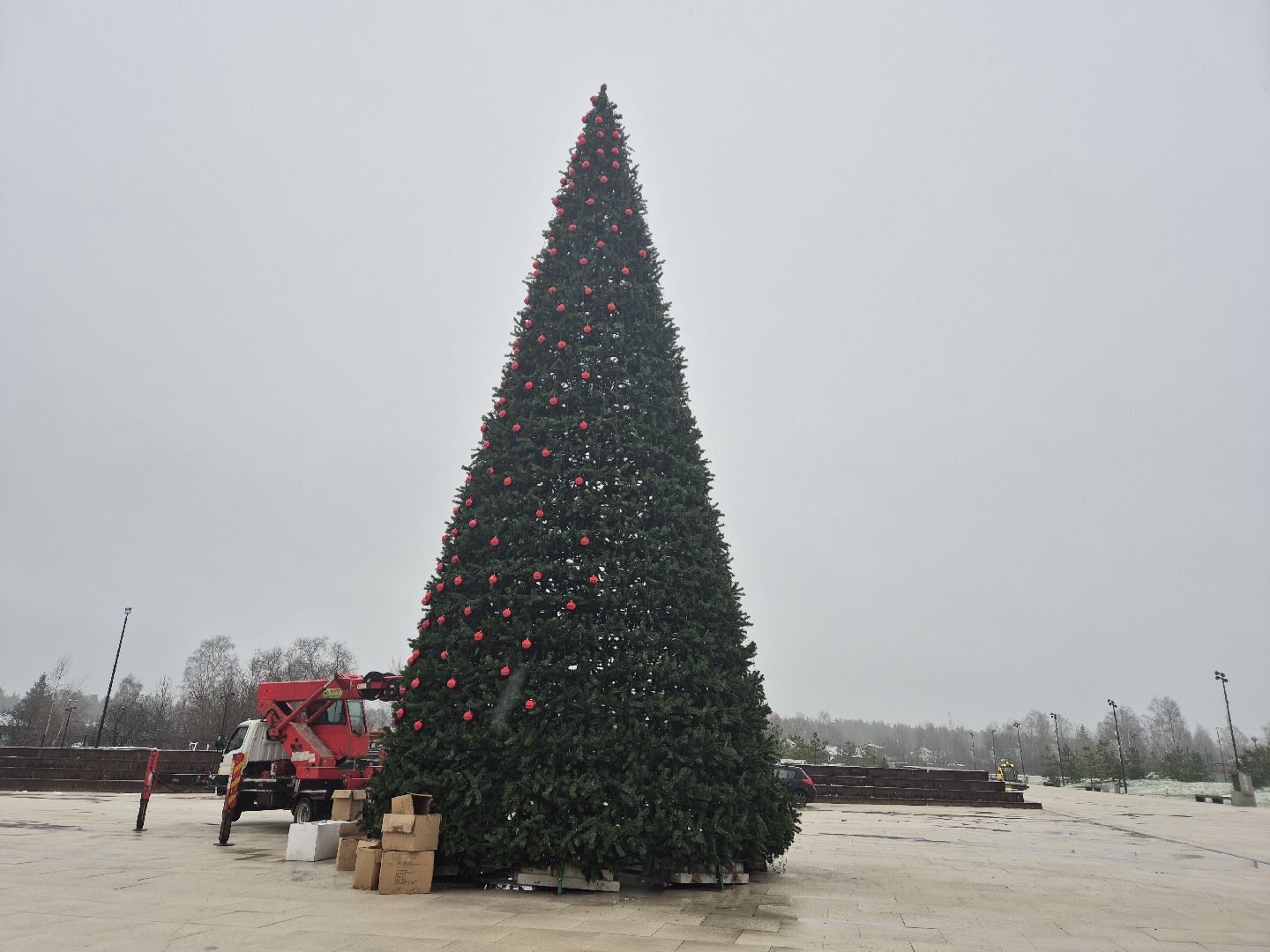 новогодняя елка, ликино-дулево, орехово-зуевский округ,
