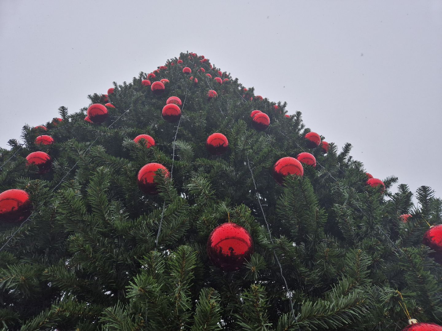 новогодняя елка, ликино-дулево, орехово-зуевский округ,