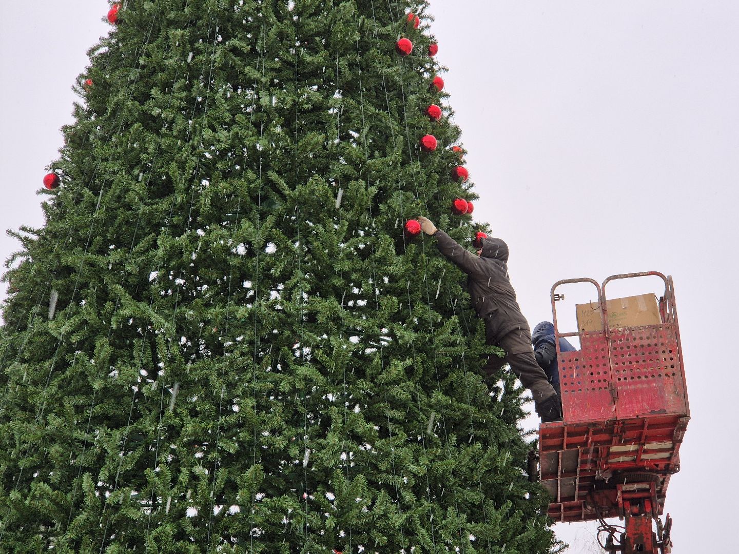 новогодняя елка, ликино-дулево, орехово-зуевский округ,